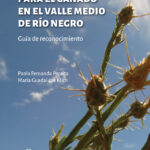 Plantas tóxicas para el ganado en el Valle Medio de Río Negro